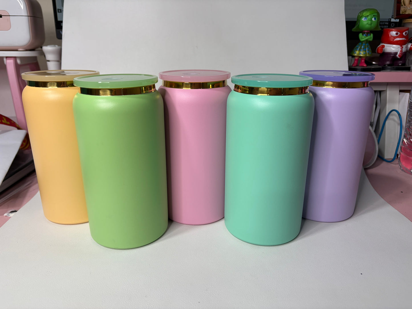 Pastel Stainless Steel 16oz Can (5pk)