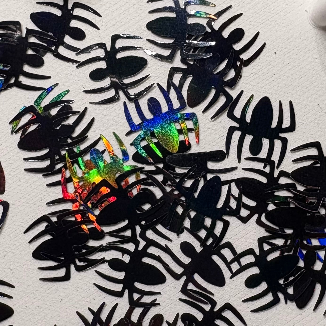 Miles Spider Shapes